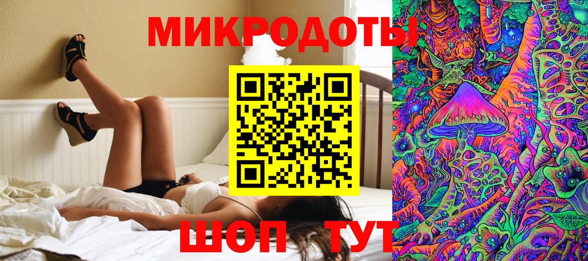 Псилоцибиновые грибы Cubensis Лосино-Петровский
